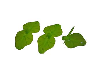 树叶乐动登录app免费下载_乐动(中国)
